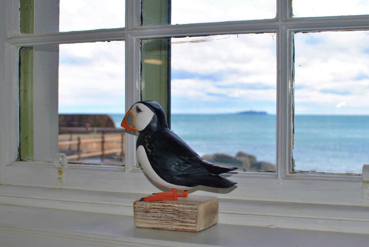 Aqua Vista- Seafront Cottage Cellardyke Anstruther Εξωτερικό φωτογραφία